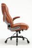 High Back Office Chair- Lifting Headrest Flip Arms Built-in Adjustable Lumbar Support, Executive Computer Desk Chair Ergonomic Design Strong Metal Bas